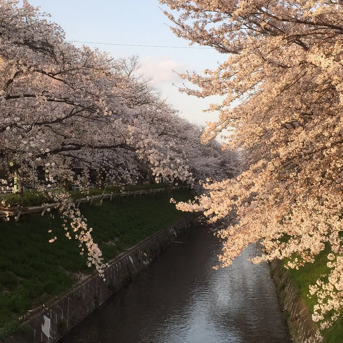 Goyosuiato Gaien