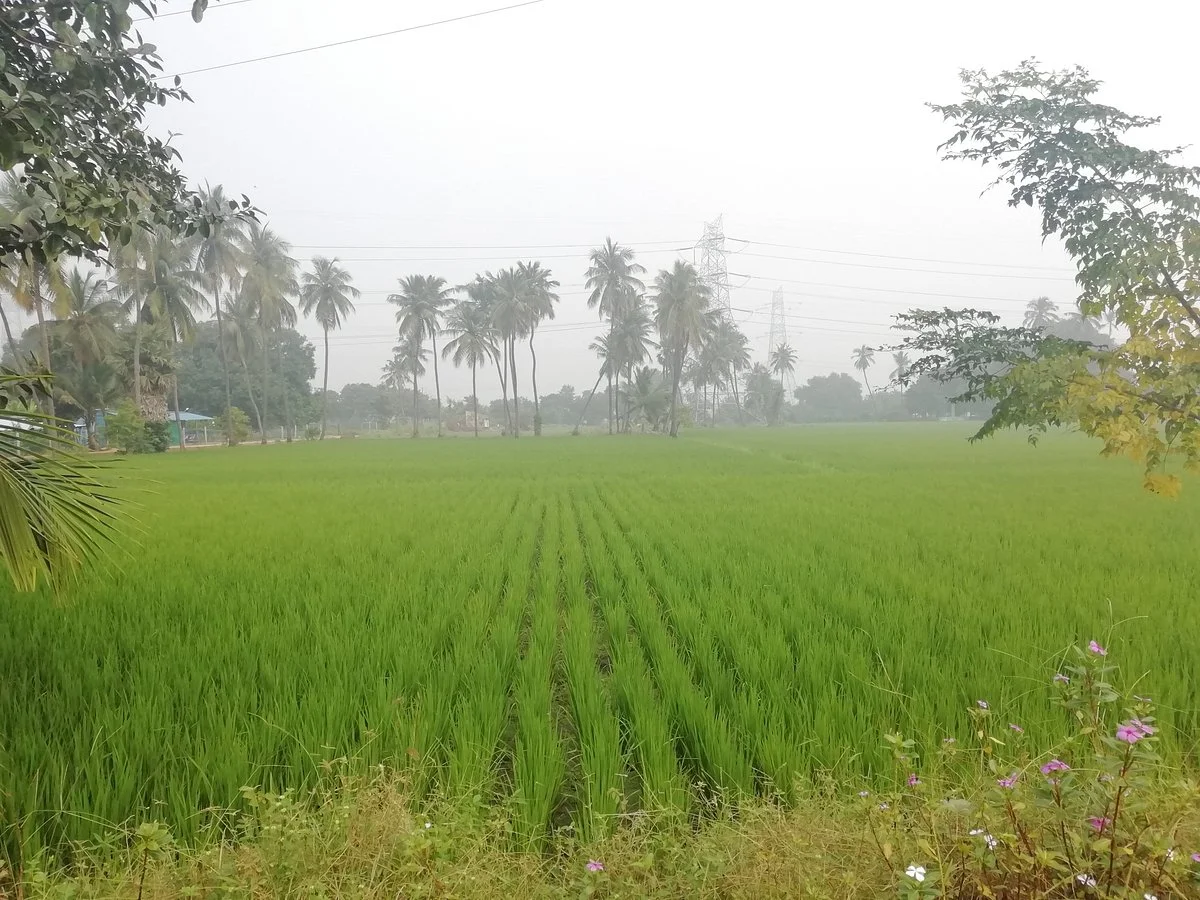 FarmGuru