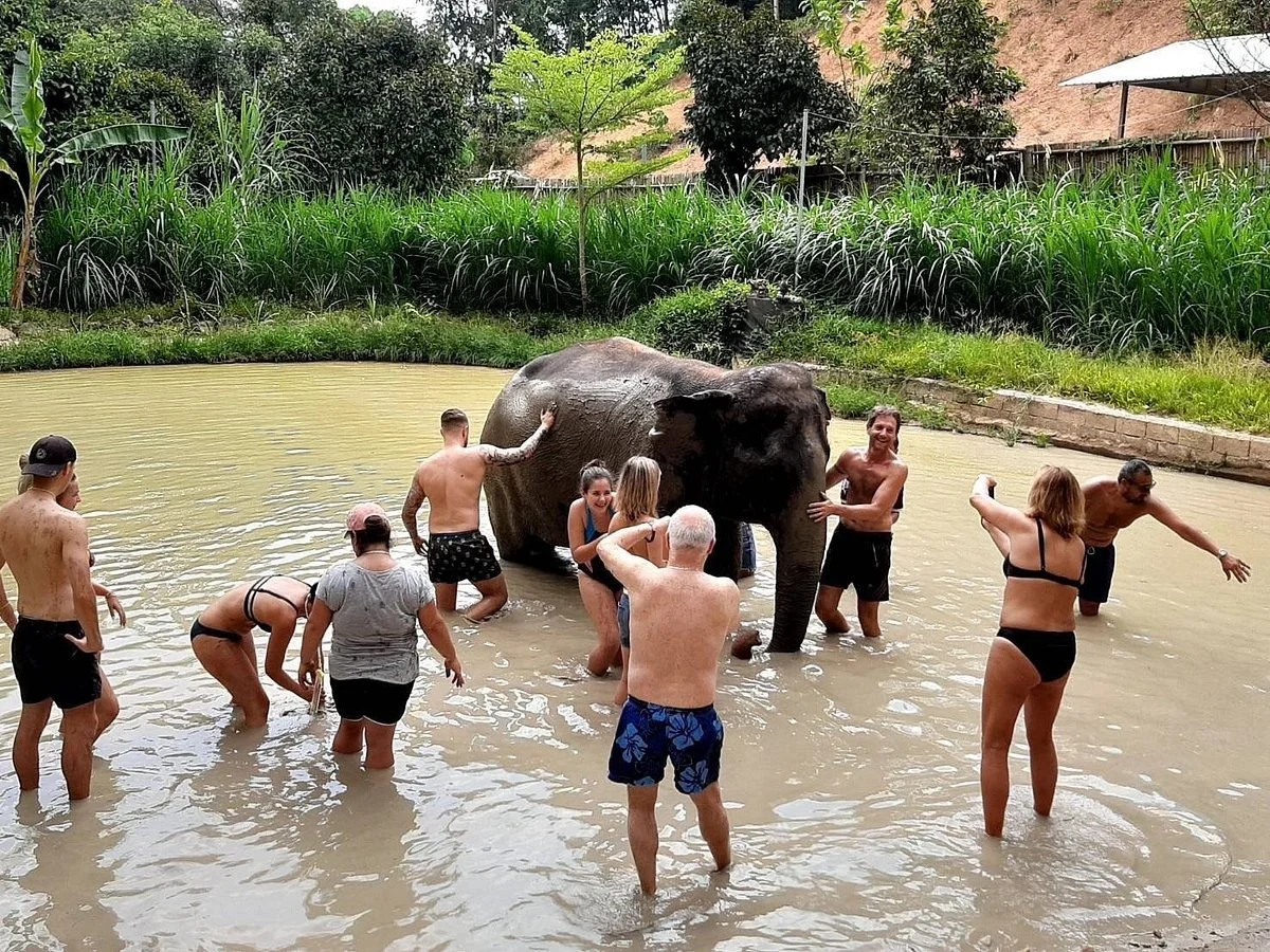 Phuket Elephant Sanctuary Village