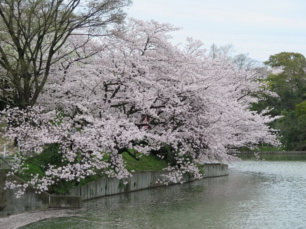 Oike Park