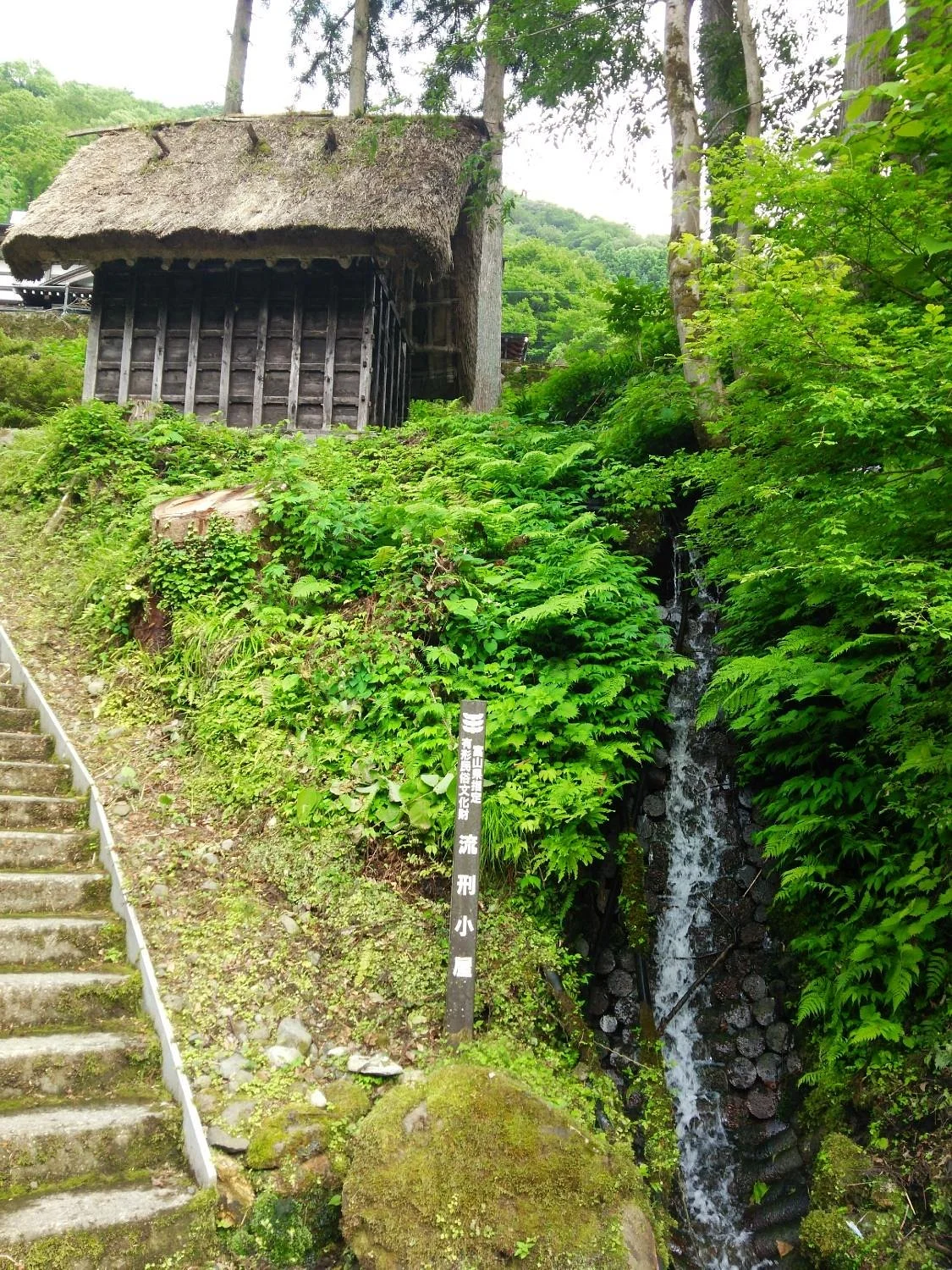 Ryukei Goya