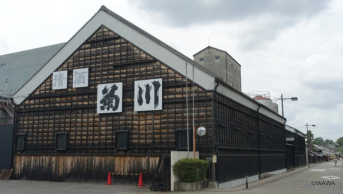 Kikukawa Shuzo