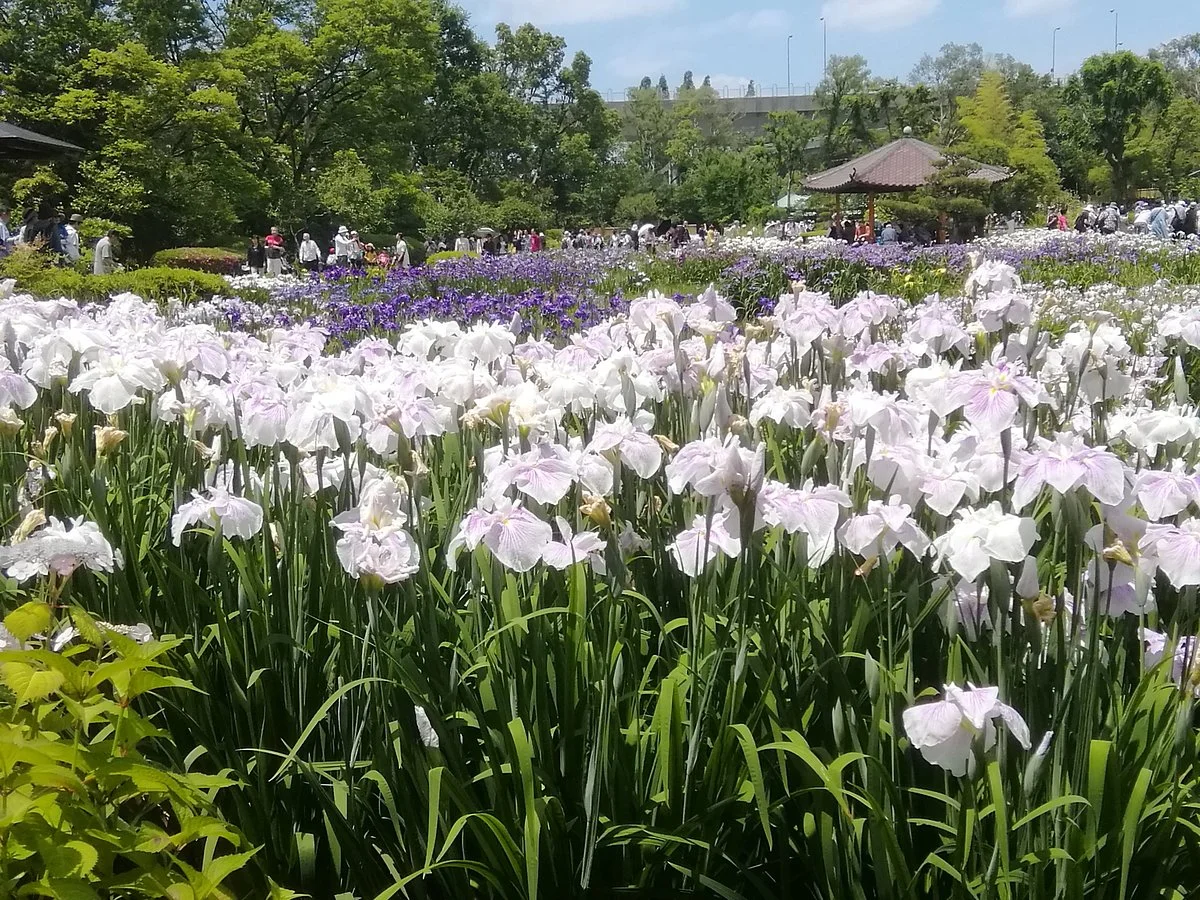 Shirokita Park