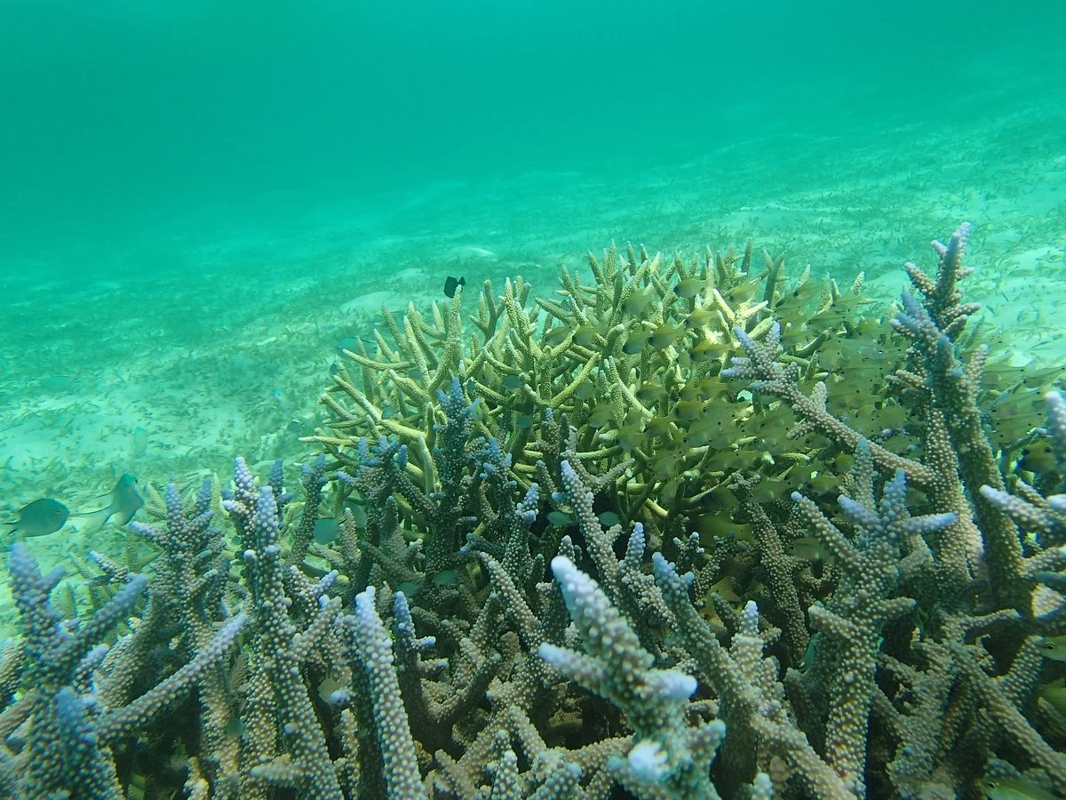 Kalitang Beach