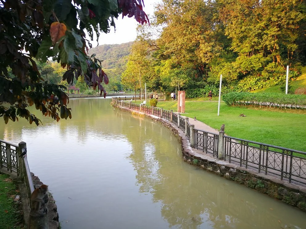 Bukit Kiara Park