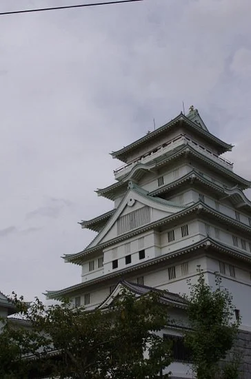 Regional Exchange Center (Toyoda Castle)
