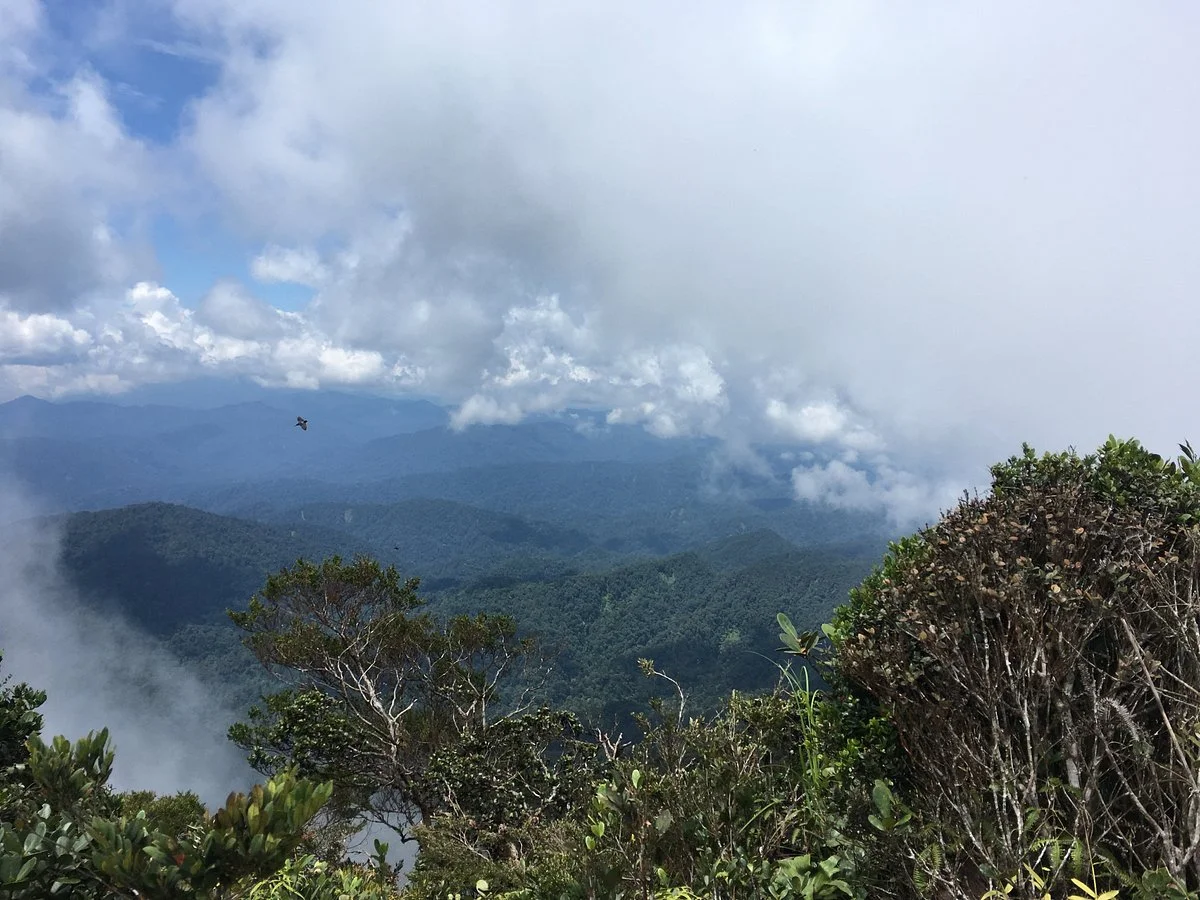 Gunung Rajah