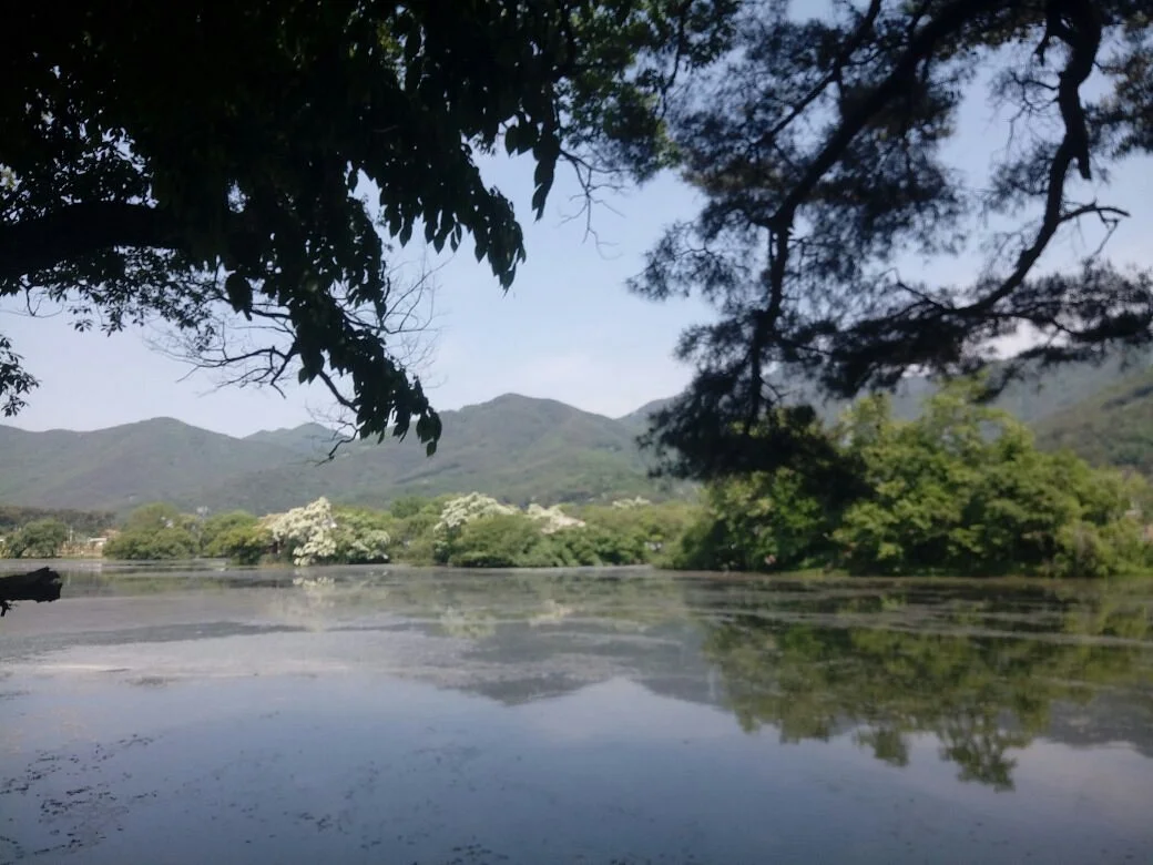 Wiyangji