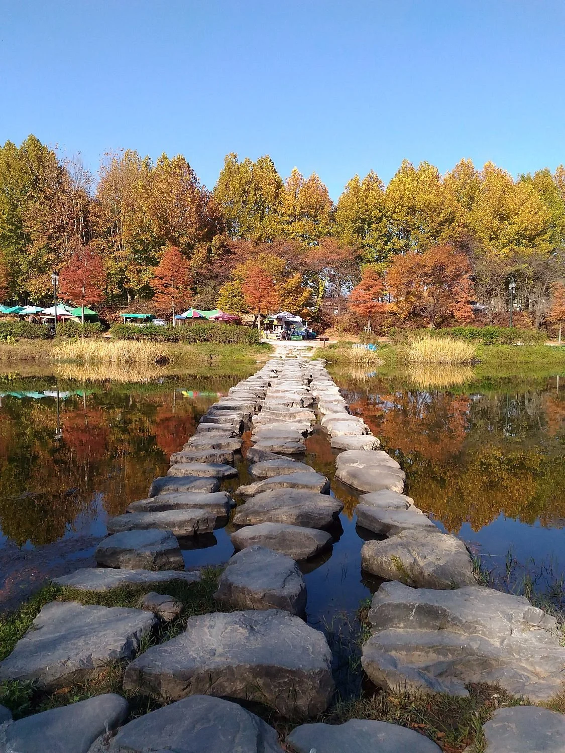 Gwanbangjerim Forest