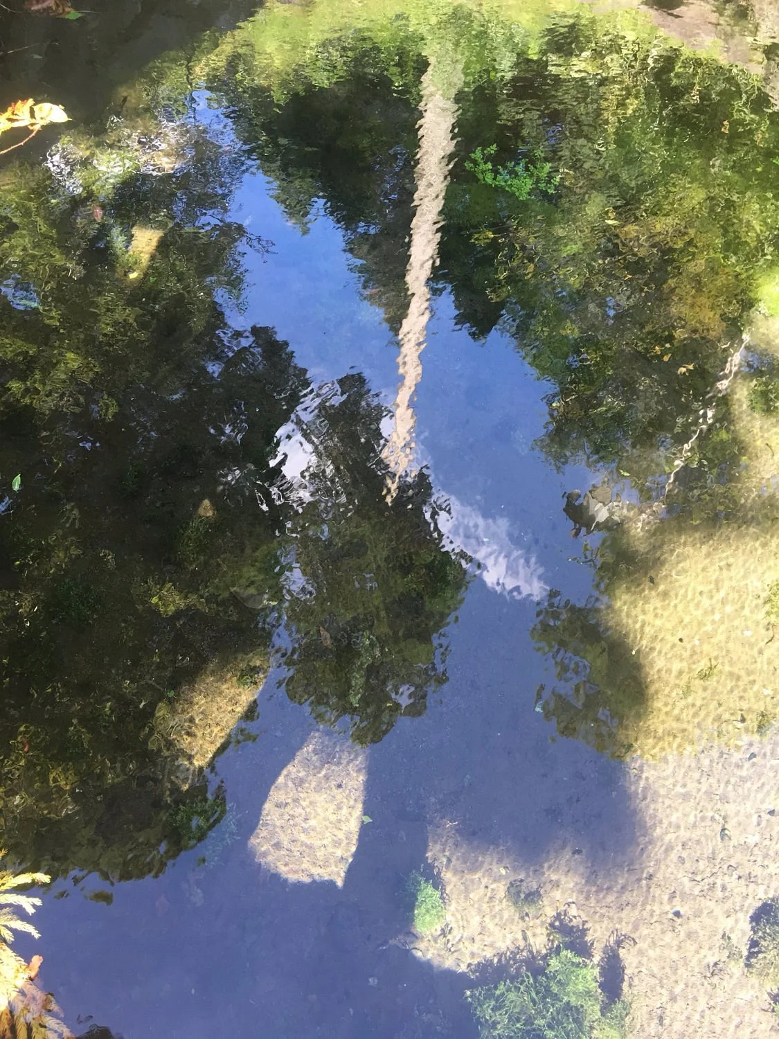 Kawachigo Spring Source