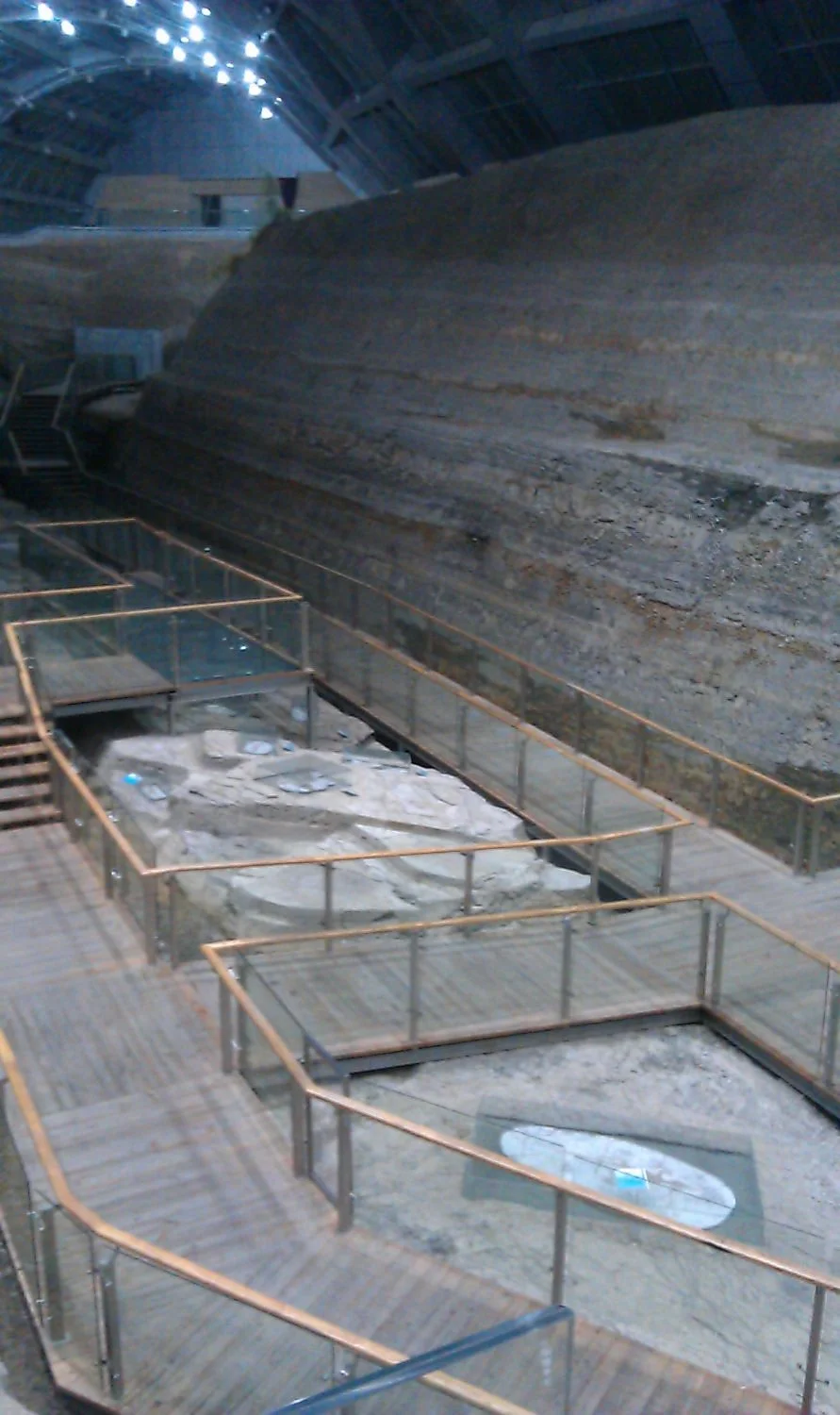 Bird Fossil National Geological Park of Chaoyang