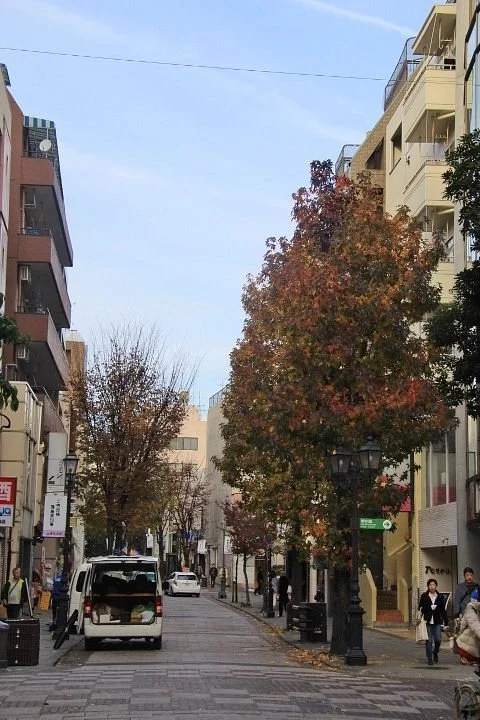 Namikizaka