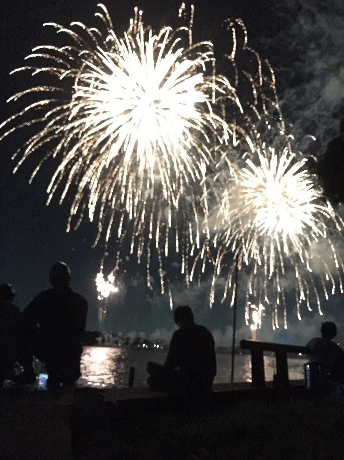 Teganuma Fireworks