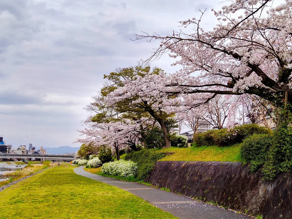 Kamogawa River