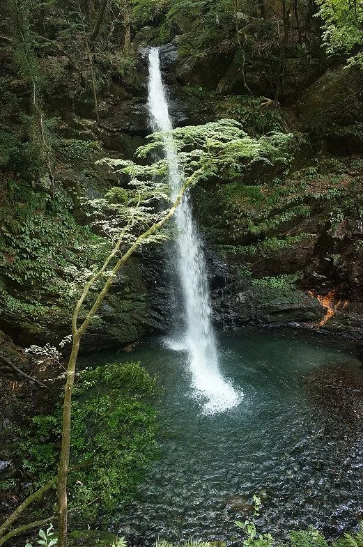 Fudo Falls
