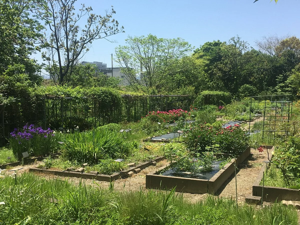 Fukuoka University Herb Garden