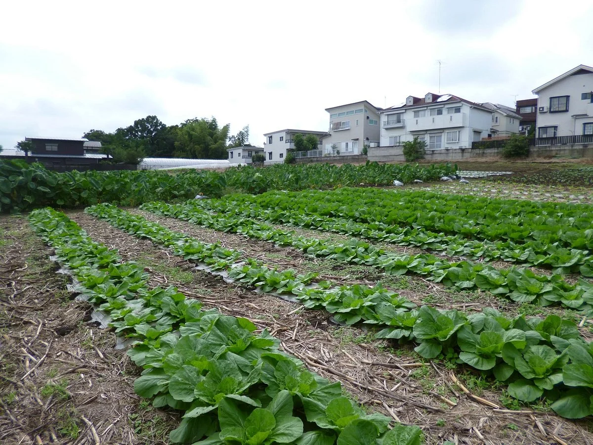 Eco Farm Takahashi