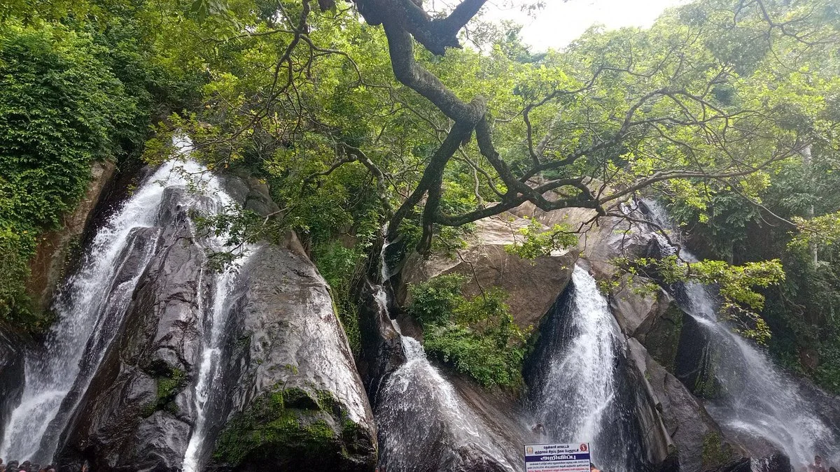 Five Falls Courtallam