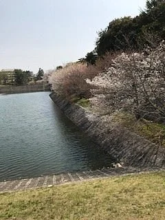 Niteko Pond