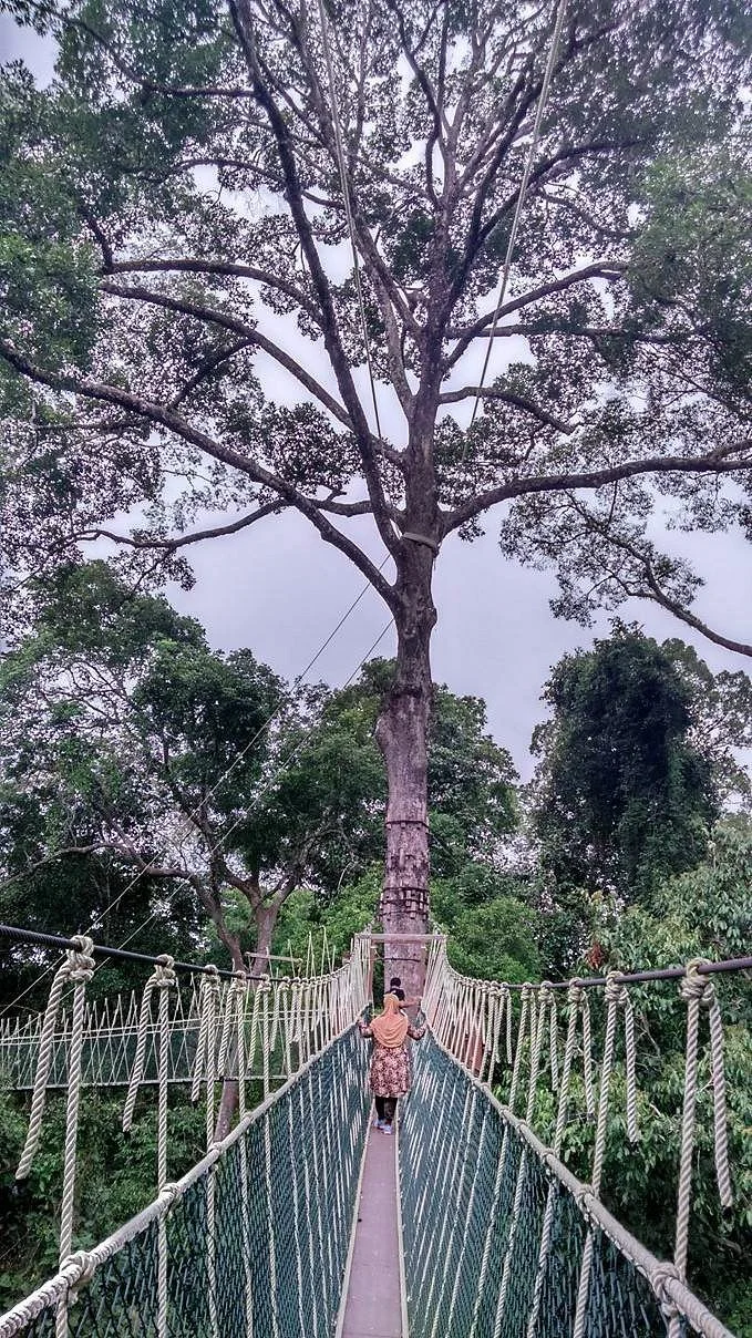 Kuala Koh National Park