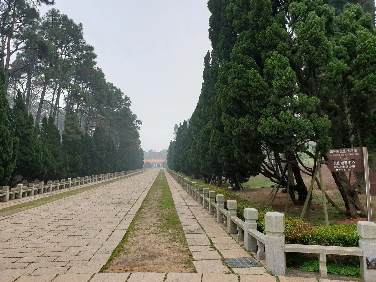 Zhongshan Forest