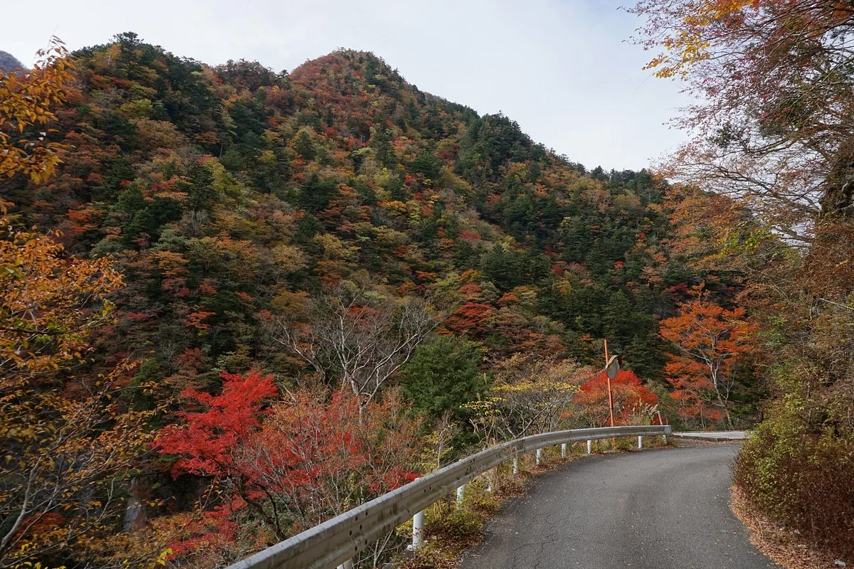 Konose Gorge