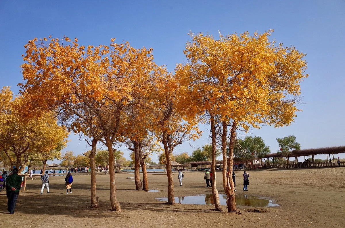 Lop People Village