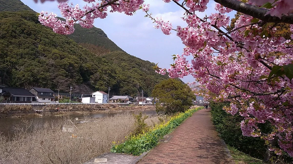Sasa River