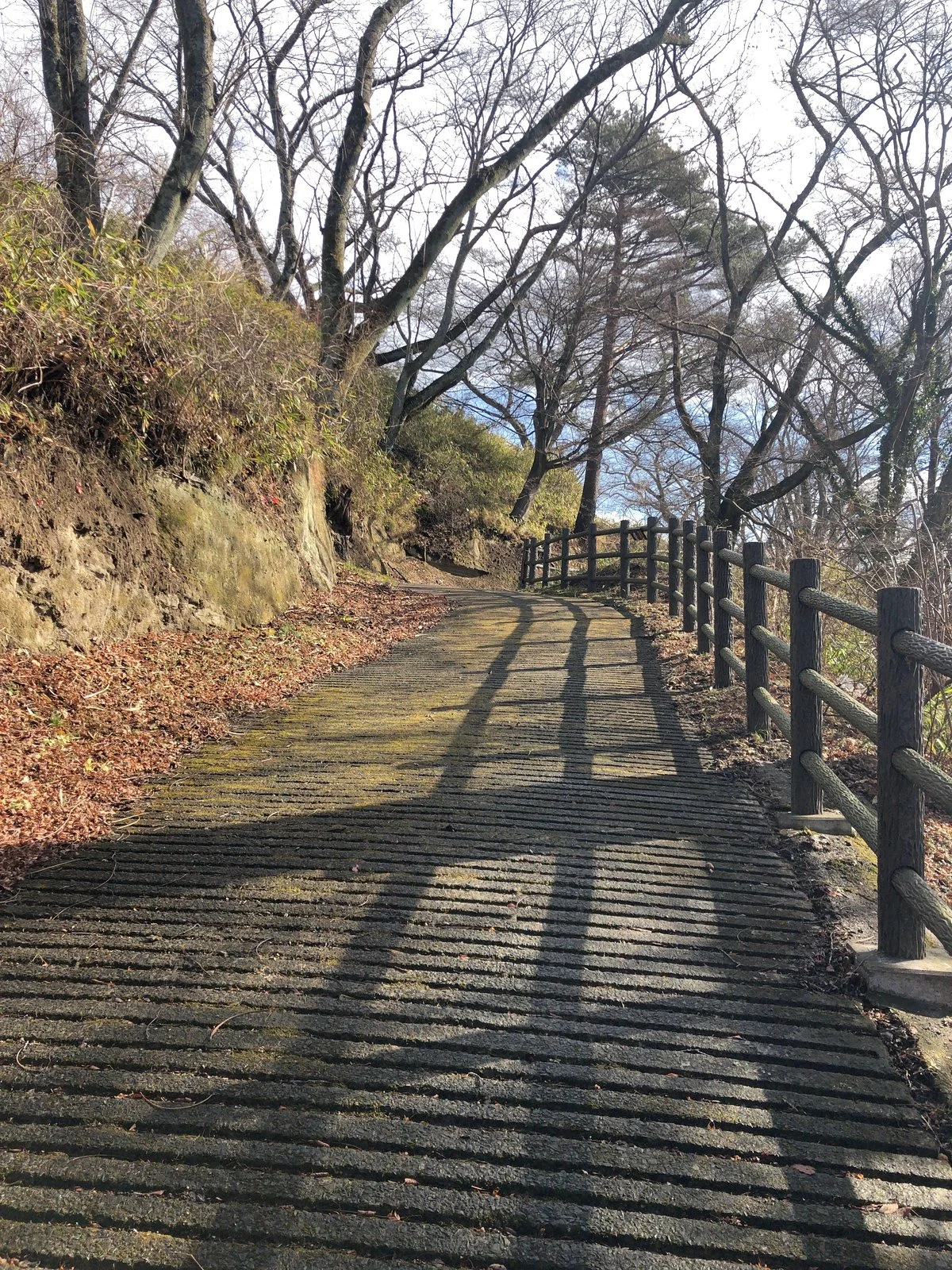 Iwakiri Castle Ruins