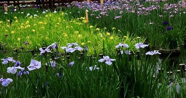 Yamadaike Park