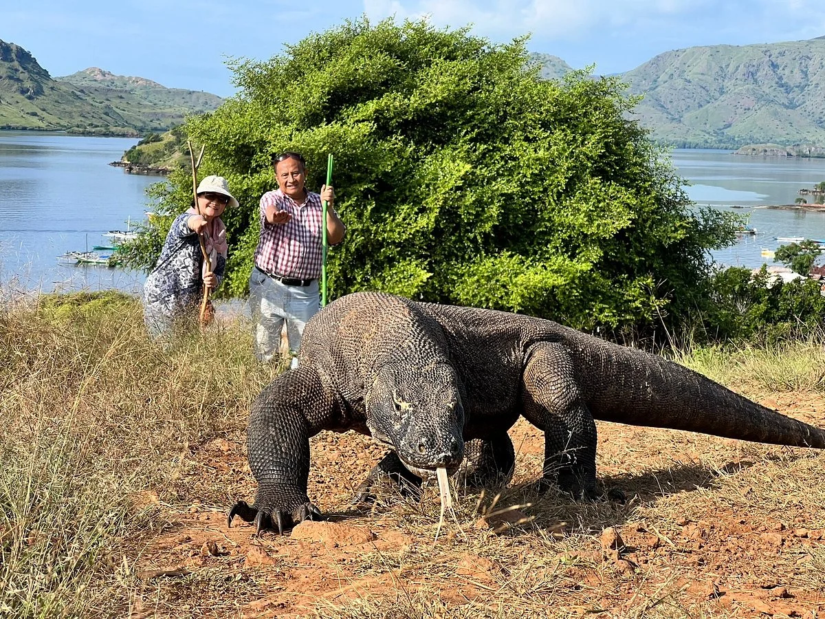 Komodo National Park