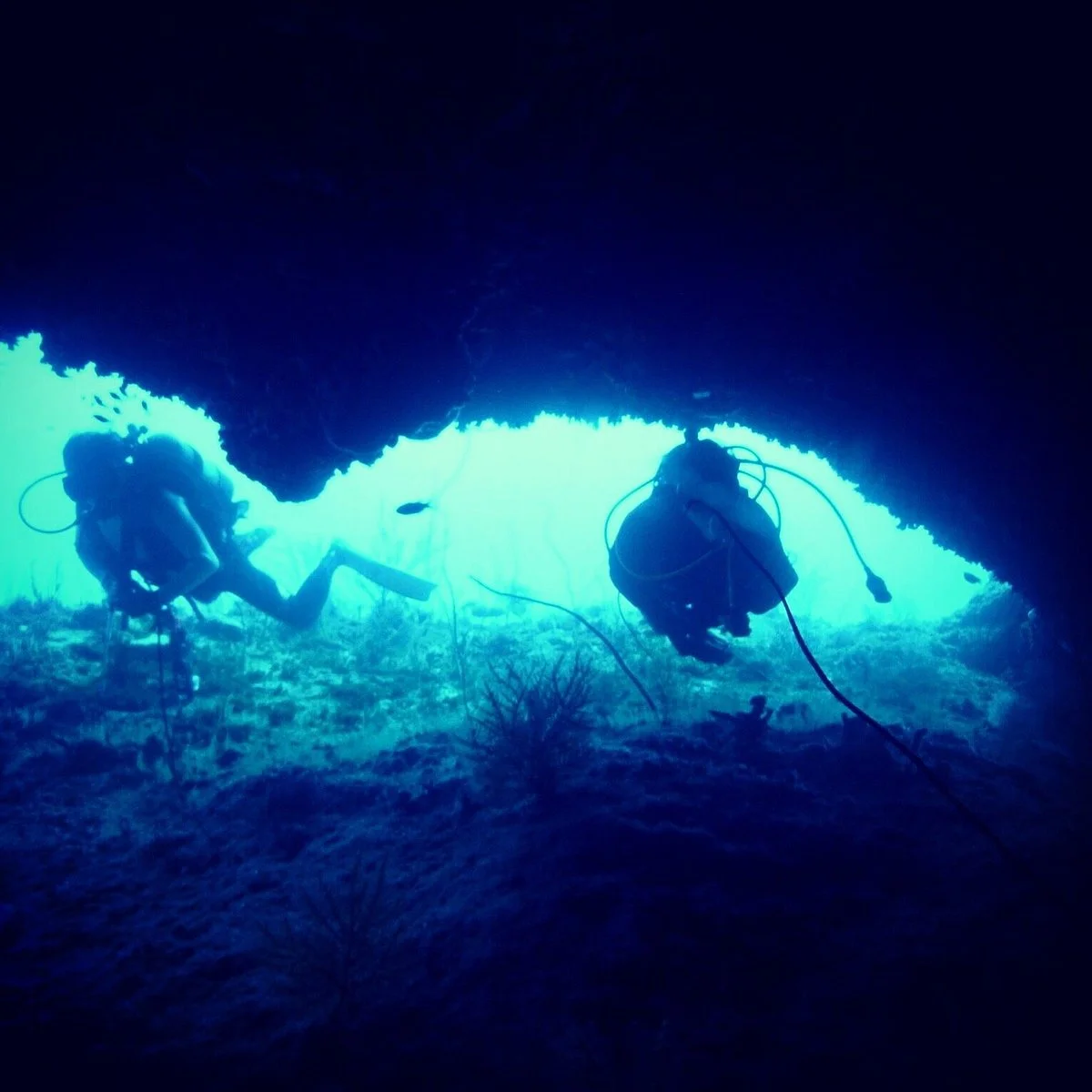 Cape Hedo Dome