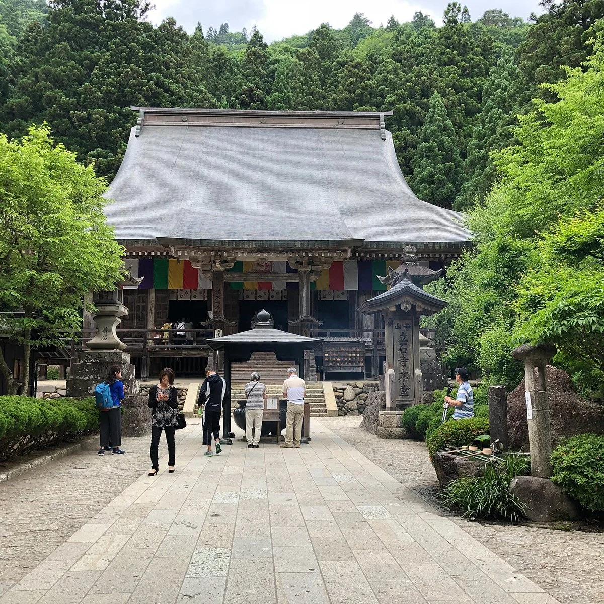 Large Ginkgo Tree in Yamadera