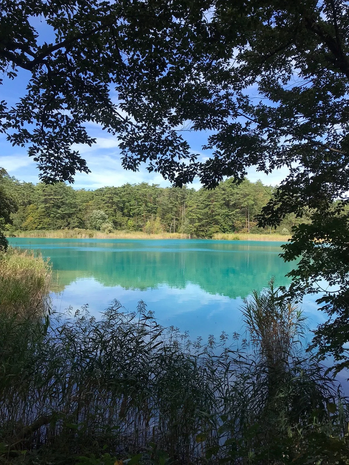 Akanuma
