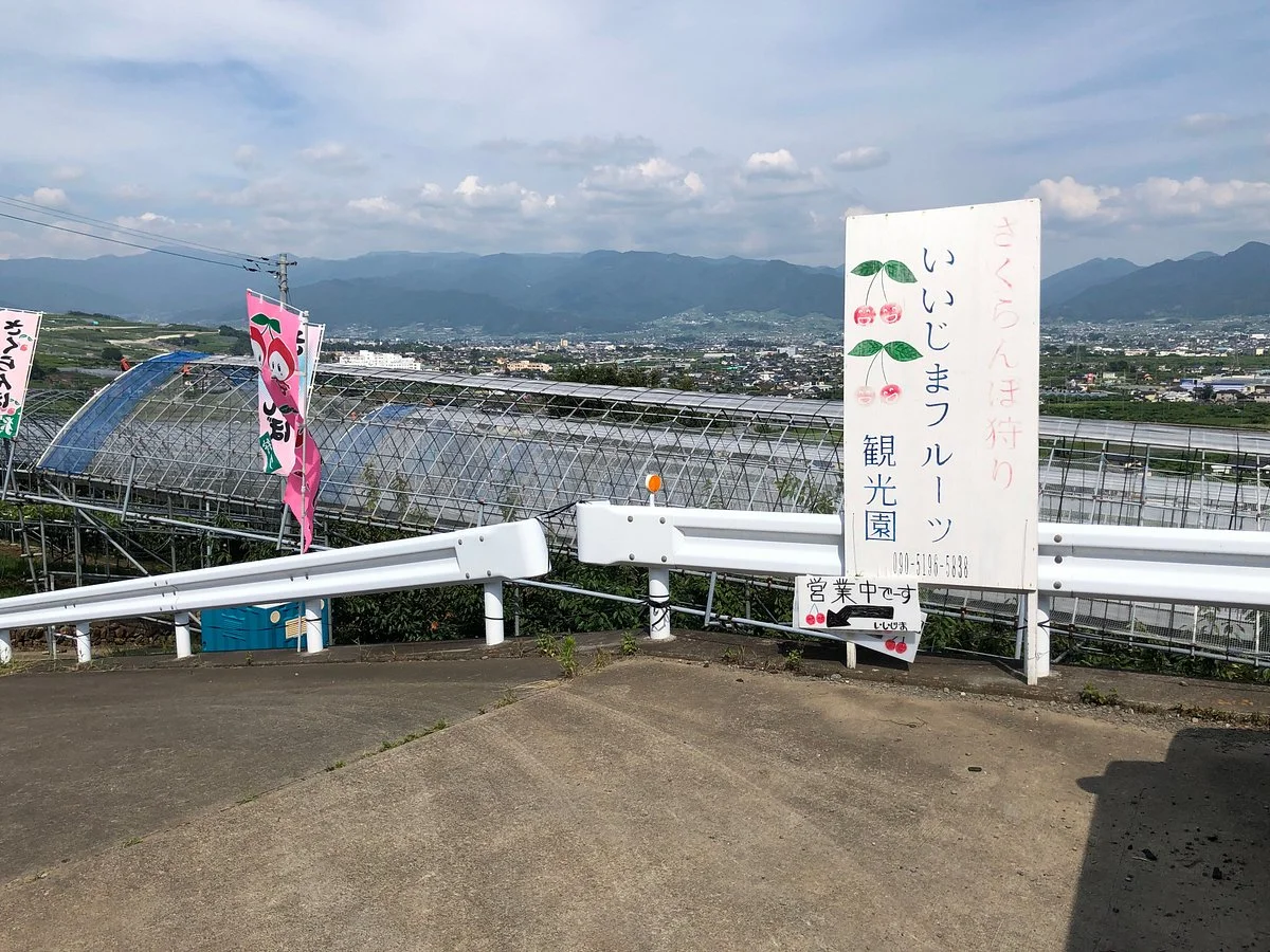 Iijima Fruit Farm