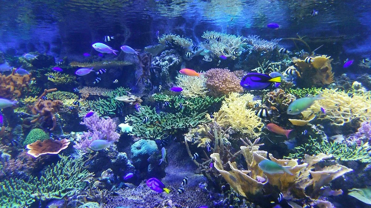 Port of Nagoya Public Aquarium
