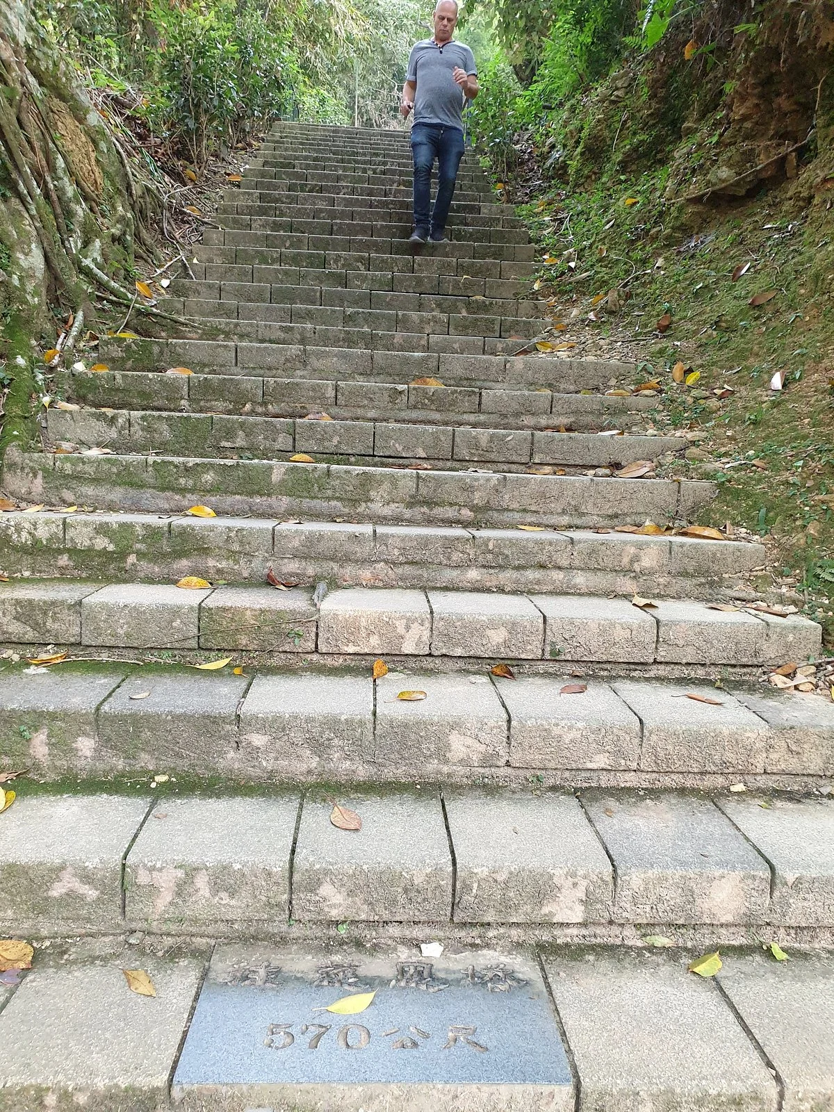 Tesn Pagoda Hiking Trail