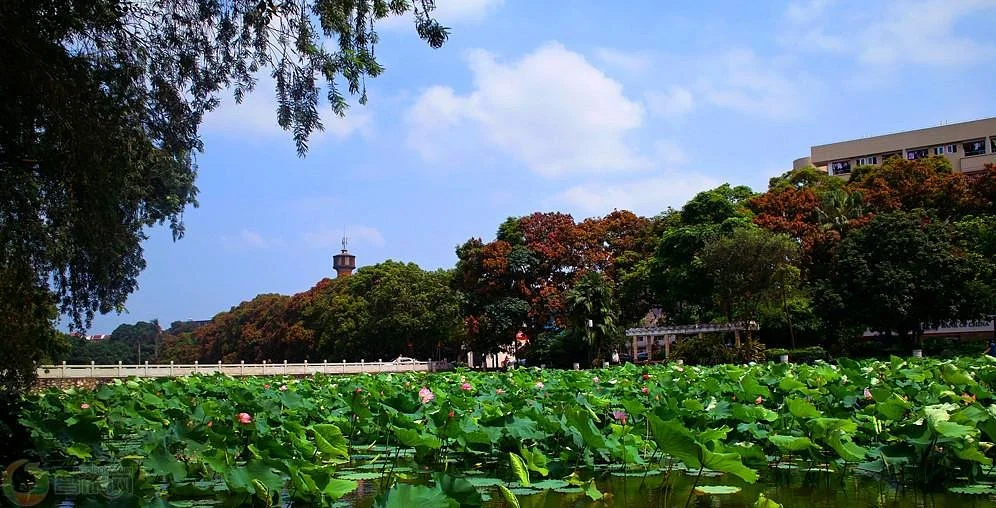 Guangxi University