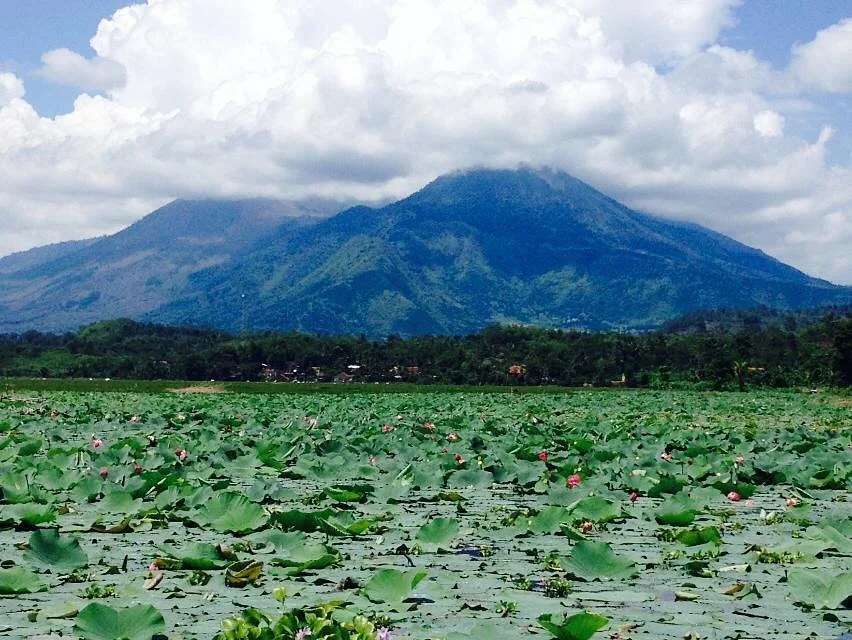 Situ Bagendit Lake