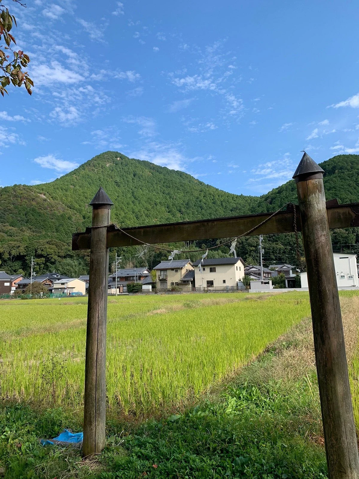 Mt. Mikami