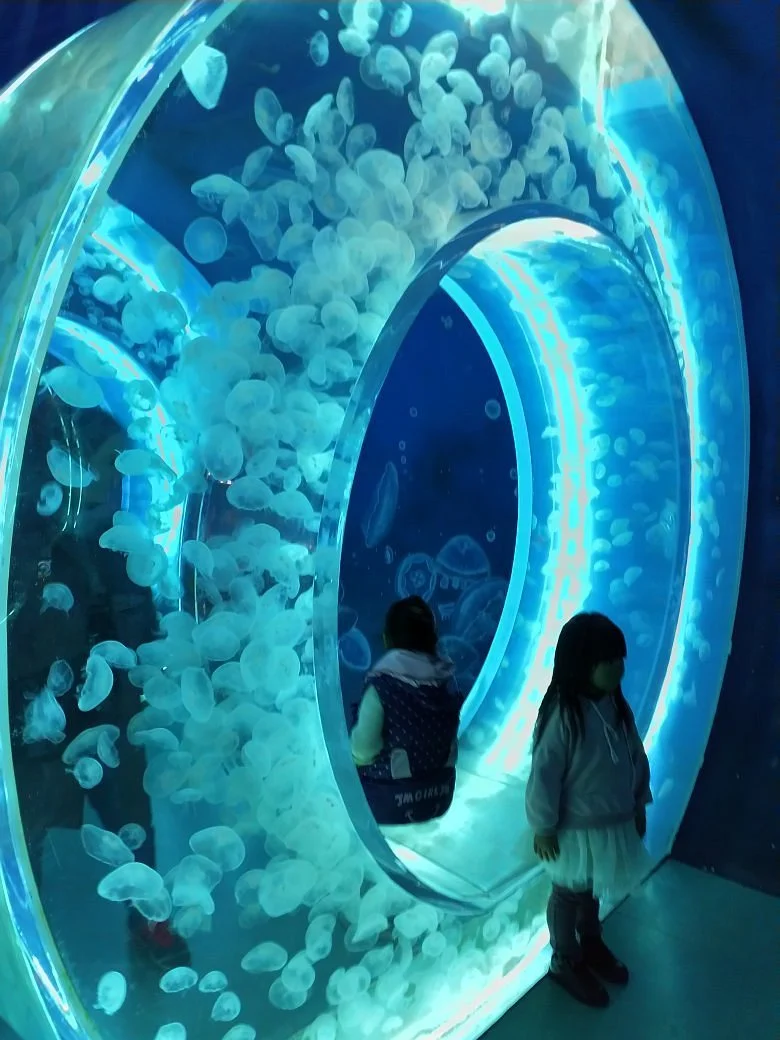 Rizhao Ocean Park