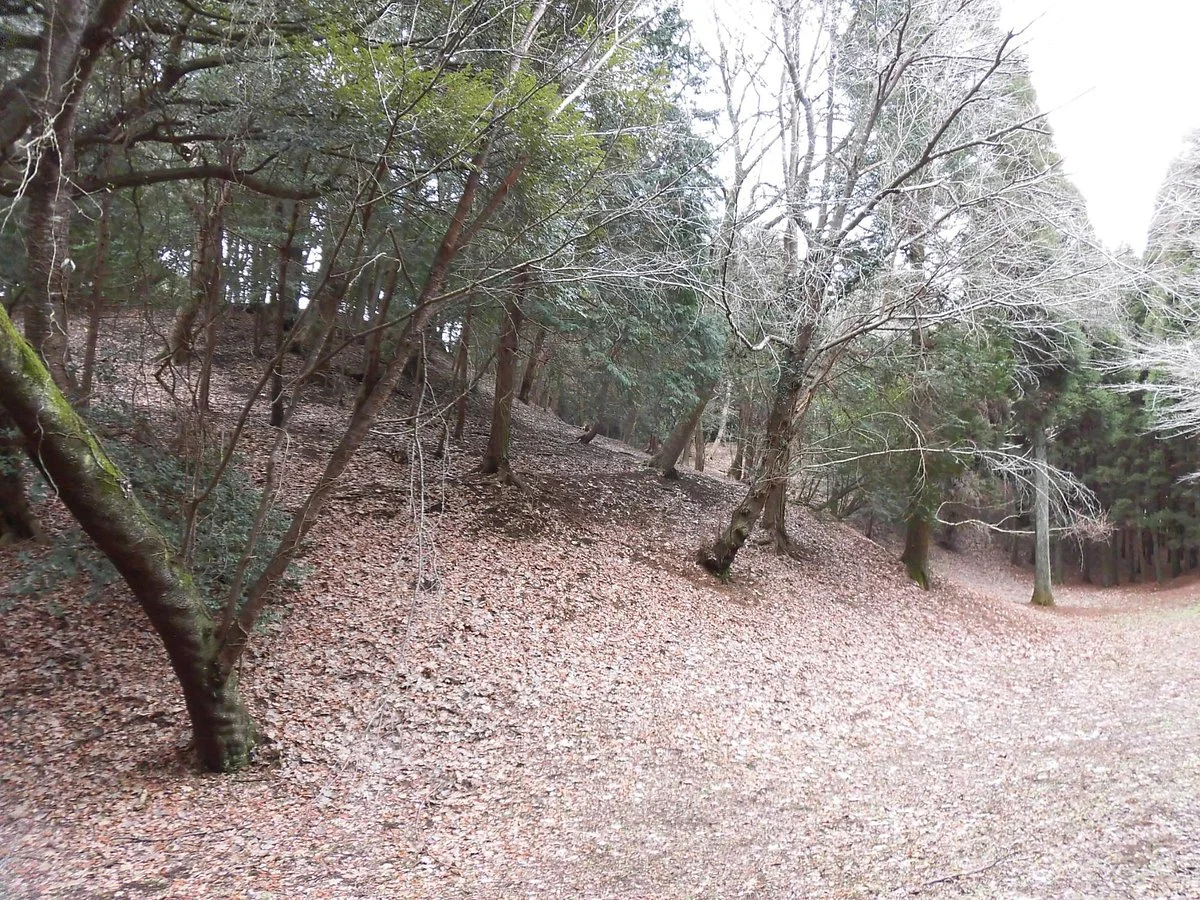Otsutsumi Gongenzuka Kofun