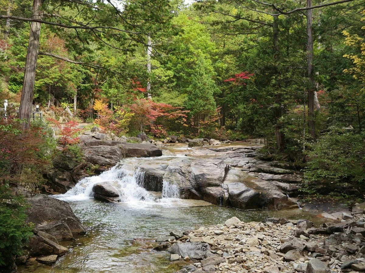 Akasawa Natural Recreational Forest