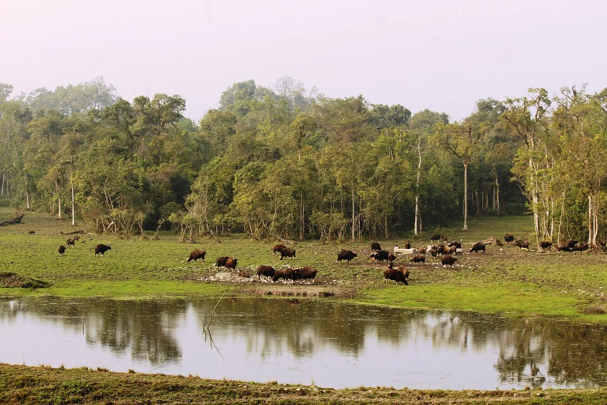Panjhora River