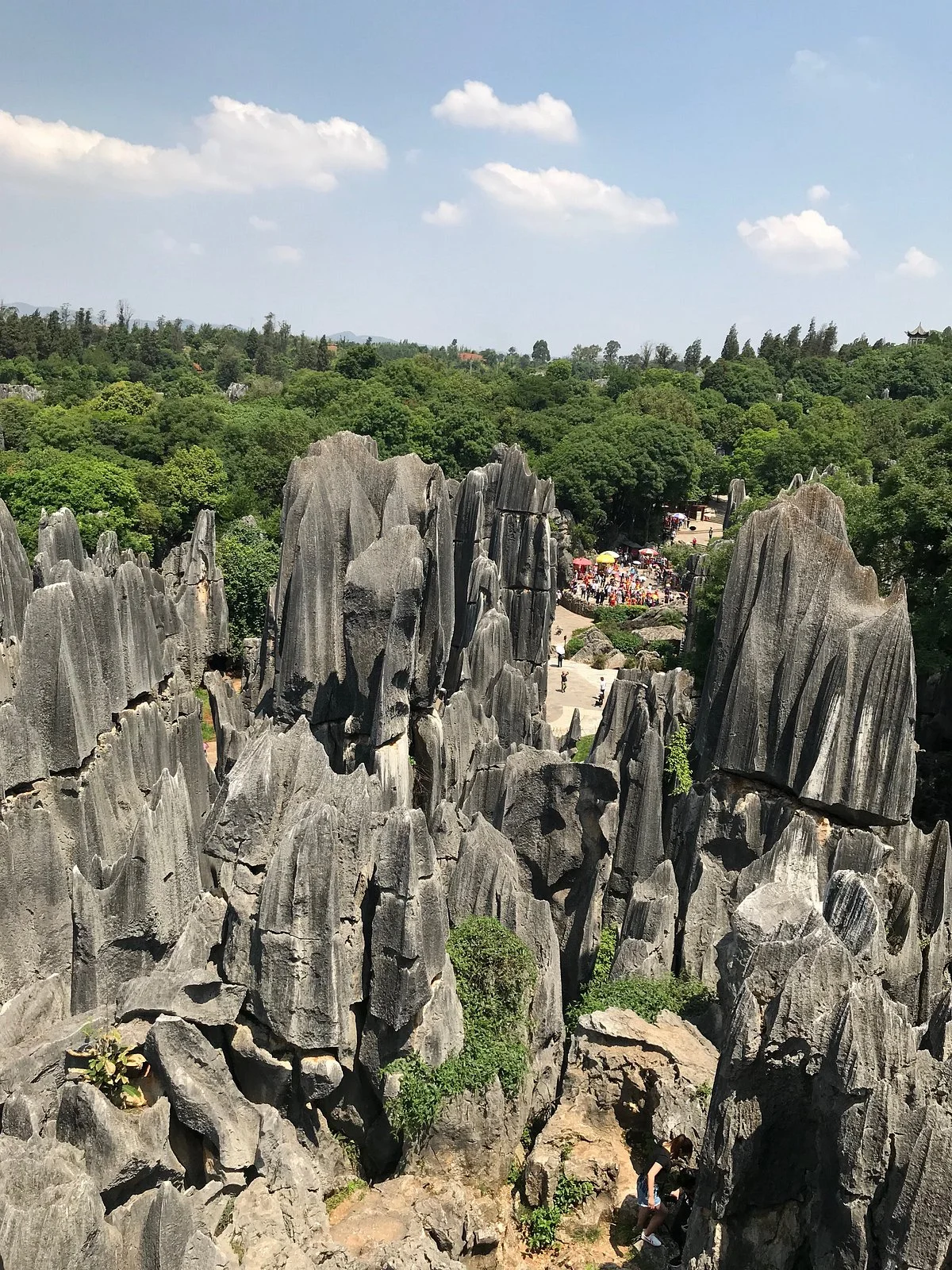 Mt. Zhongling Forest Park