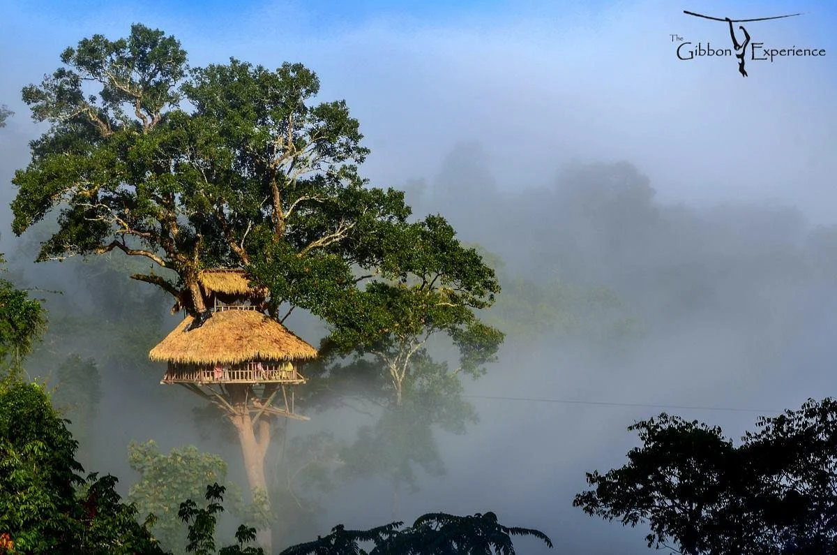 The Gibbon Experience