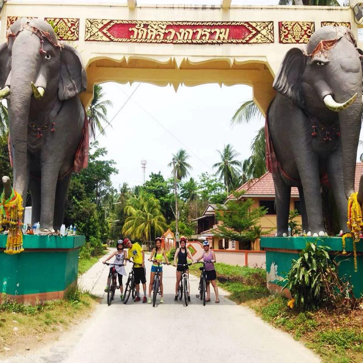 Elephant Gate