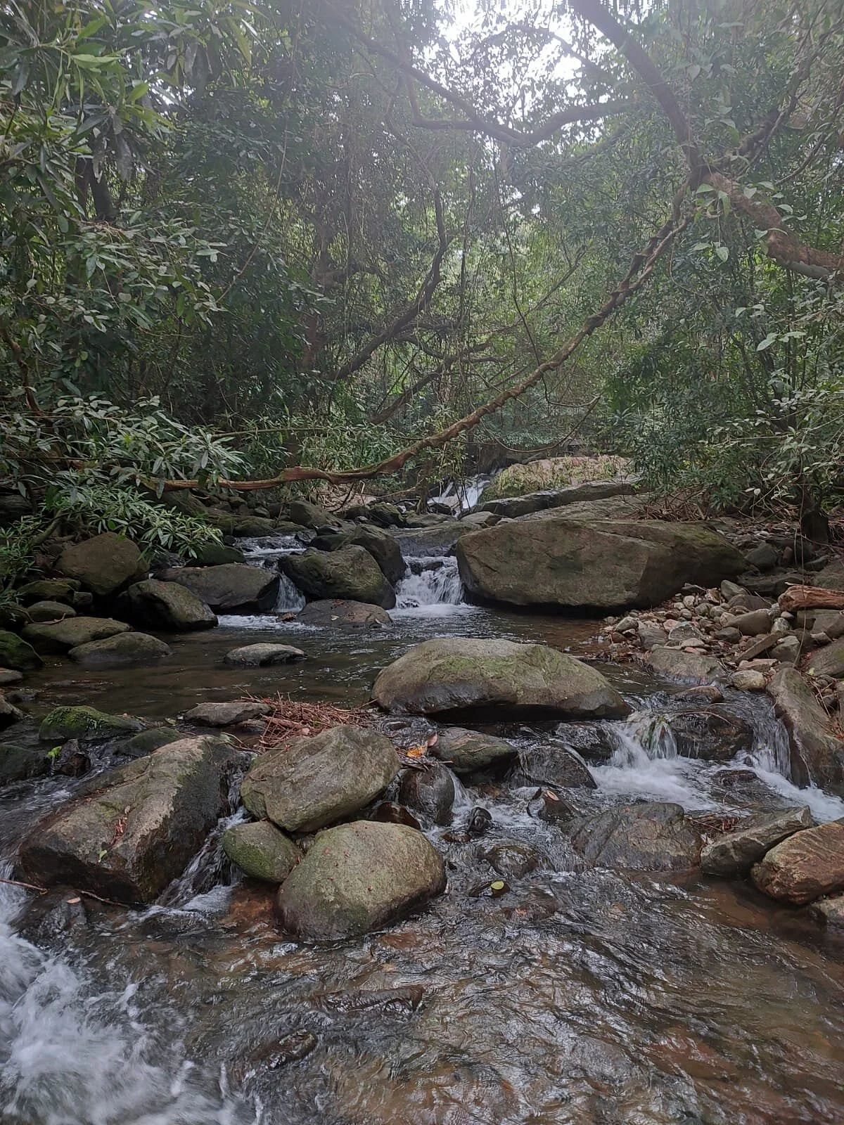Vanaparvam Biodiversity Park