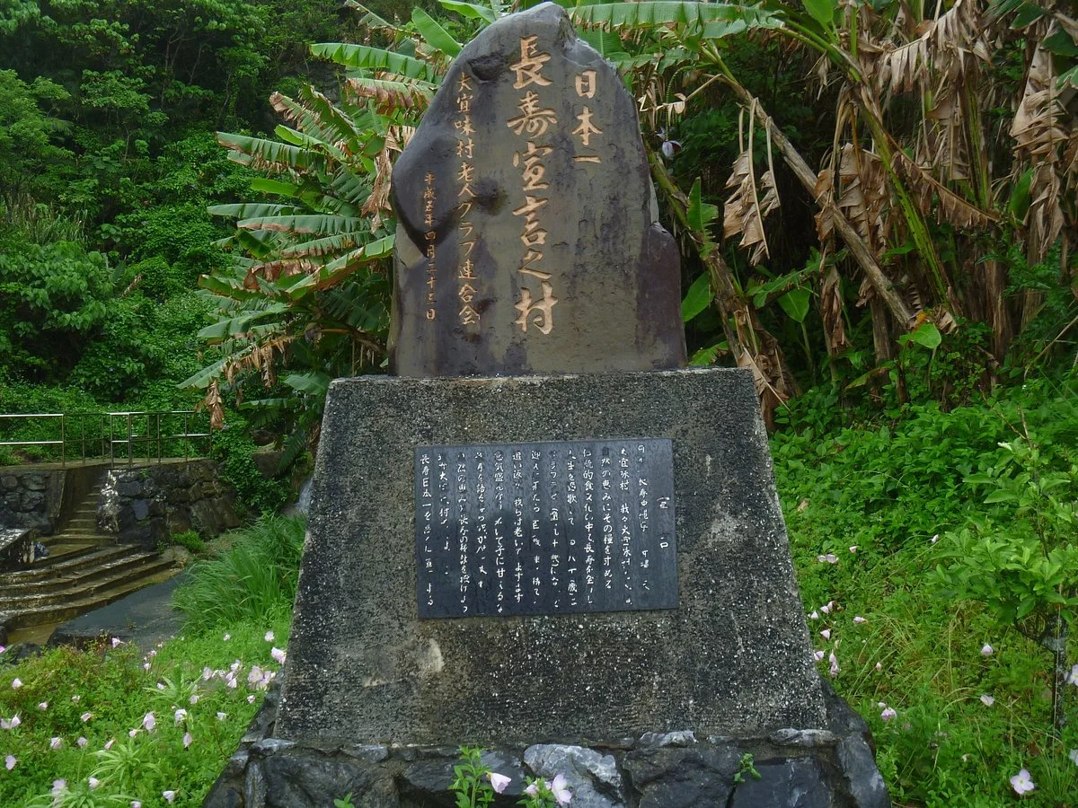 Stone Monument of Declaration of Longevity