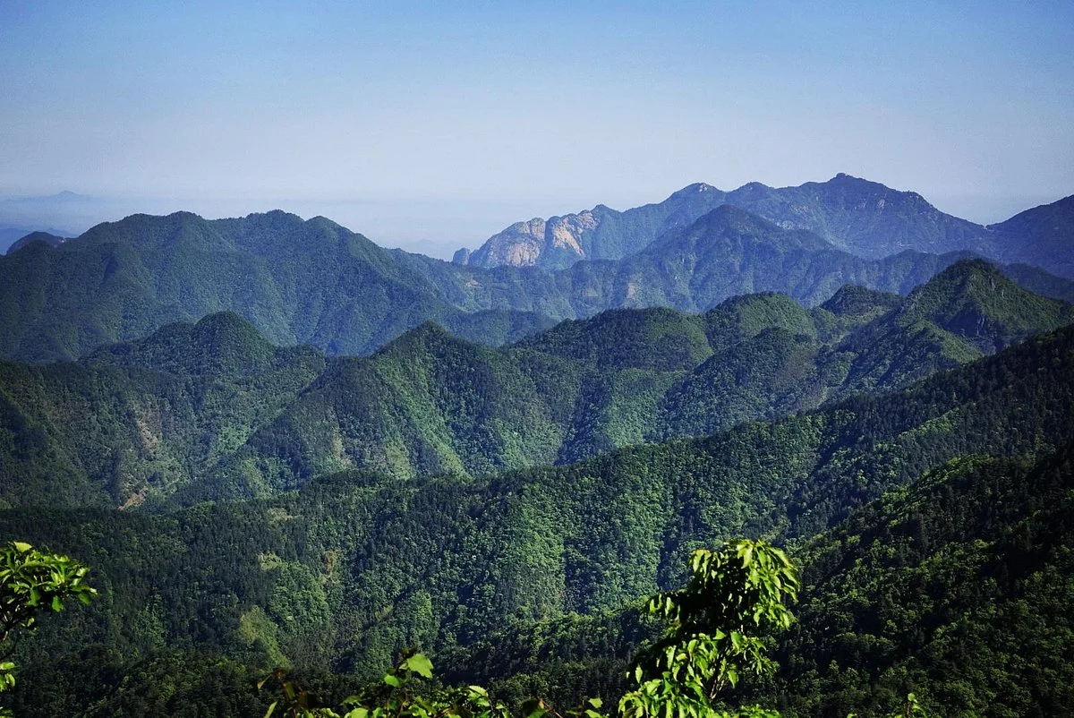 Qingliang Peak Natural Reserve